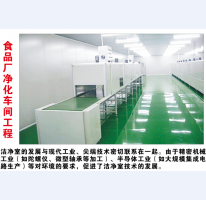 食品厂净化车间工程